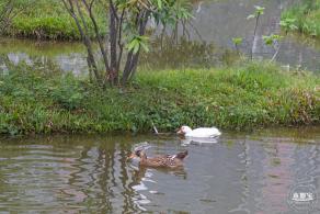 定岗湖湿地公园