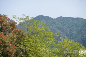 田心公园
