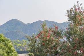 田心公园