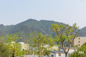 田心公园