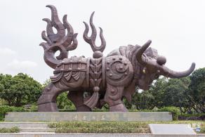 四海公园花旗木