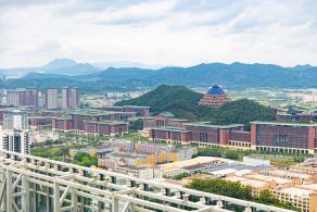 深圳光明向日葵