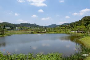 金湖上库水库库岸公园