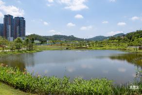 金湖上库水库库岸公园