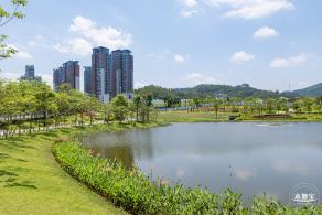 金湖上库水库库岸公园