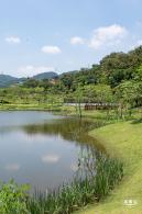 金湖上库水库库岸公园