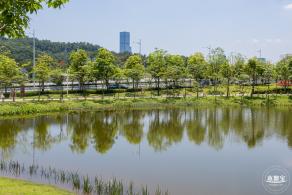 金湖上库水库库岸公园