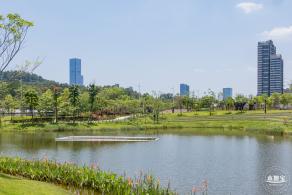金湖上库水库库岸公园