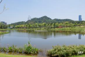金湖上库水库库岸公园