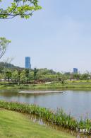金湖上库水库库岸公园