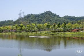 金湖上库水库库岸公园