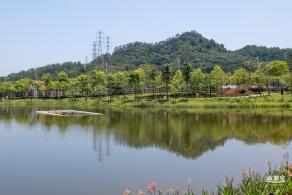 金湖上库水库库岸公园