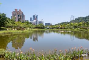 金湖上库水库库岸公园