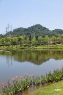 金湖上库水库库岸公园