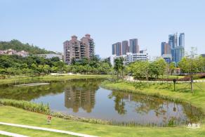 金湖上库水库库岸公园