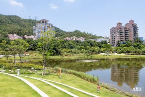 金湖上库水库库岸公园