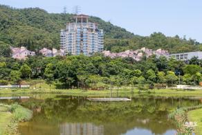 金湖上库水库库岸公园