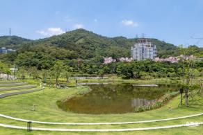 金湖上库水库库岸公园