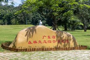 梧桐山森林会客厅