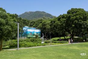 梧桐山森林会客厅