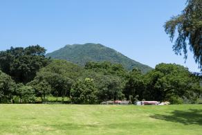 梧桐山森林会客厅