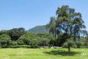 梧桐山森林会客厅