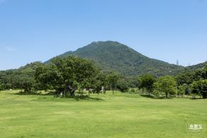 梧桐山森林会客厅