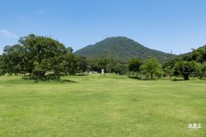 梧桐山森林会客厅