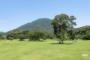 梧桐山森林会客厅