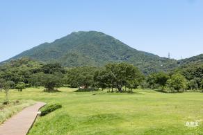 梧桐山森林会客厅