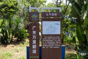 梧桐山森林会客厅
