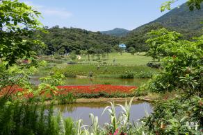 梧桐山森林会客厅