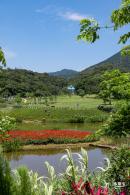 梧桐山森林会客厅