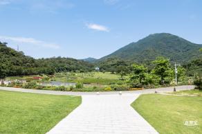 梧桐山森林会客厅