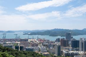 梧桐山森林会客厅