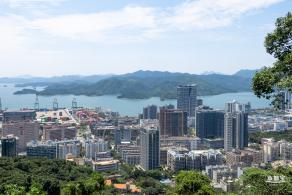 梧桐山森林会客厅
