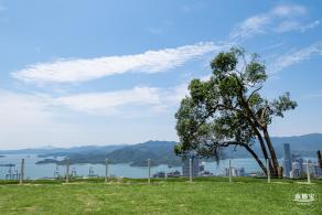 梧桐山森林会客厅