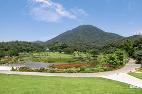 梧桐山森林会客厅
