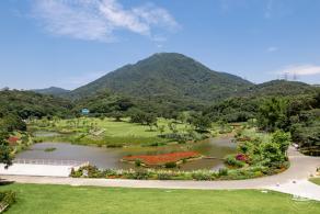 梧桐山森林会客厅