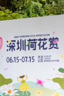 2024深圳荷花赏