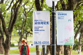 2024深圳荷花赏