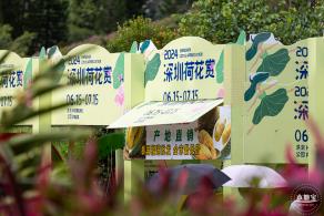 2024深圳荷花赏