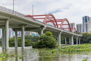2024深圳荷花赏