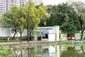 2024深圳荷花赏