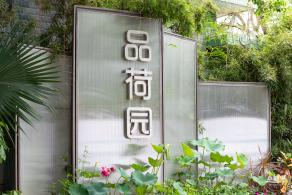 2024深圳荷花赏