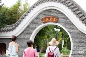 2024深圳荷花赏