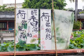 万景楼荷花池