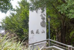 流花山粉叶金花