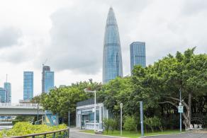 流花山粉叶金花