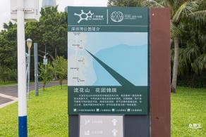流花山粉叶金花